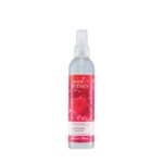 FRAMBUESA Y CASSIS SPRAY OYH